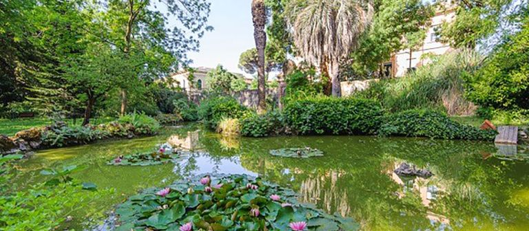 Orto Botanico, Pisa