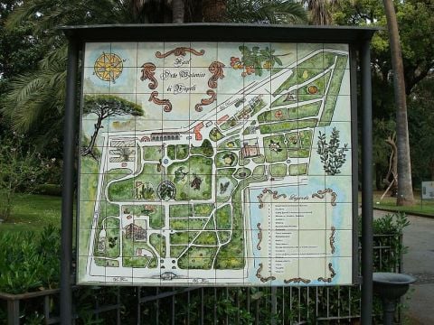 Orto botanico Napoli, mappa dell'orto, Cymbella, Dominio Pubblico
