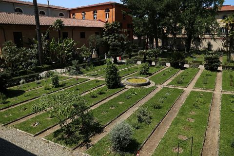 Orto botanico di Pisa, foto di Sailko, CC 3.0