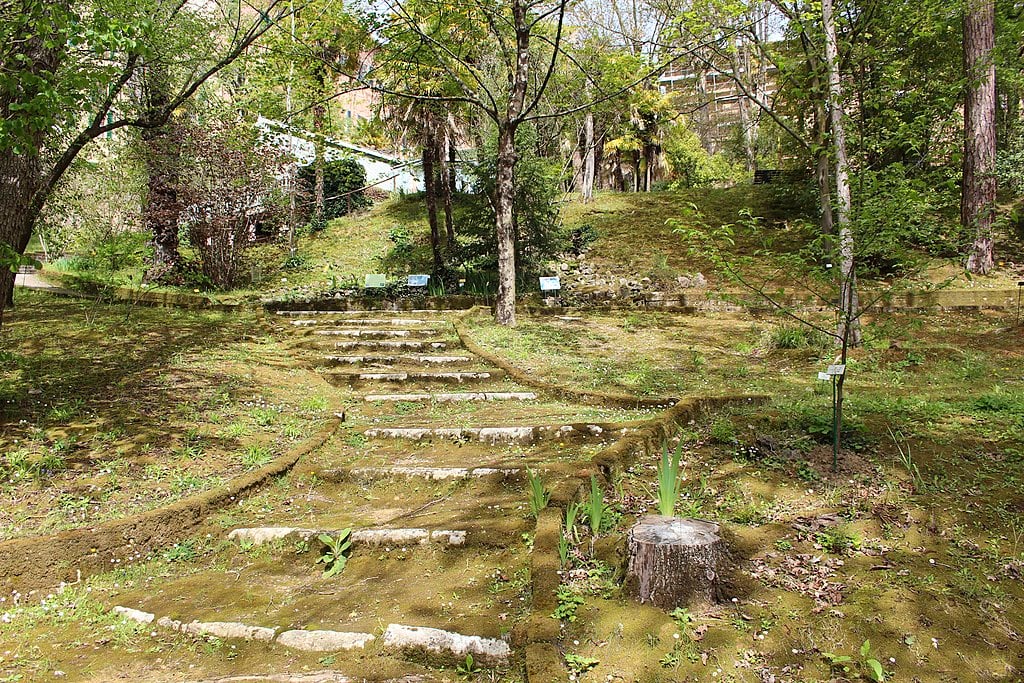 Orto Botanico dell'Università di Siena, foto di LigaDue