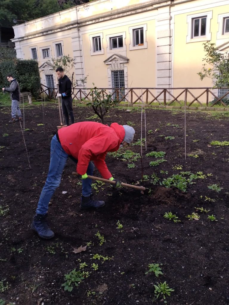 Studenti al lavoro nella vigna didattica di Villa Giulia a Roma