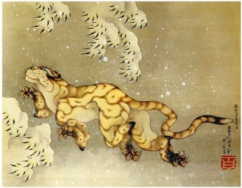 Tigre nella neve, Hokusai