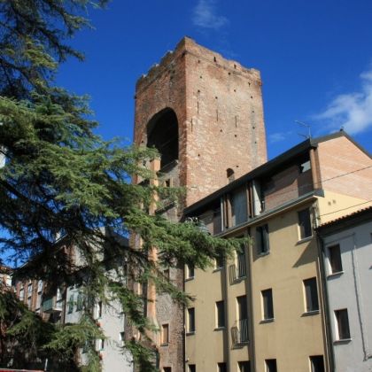 Torre Pighin, Rovigo