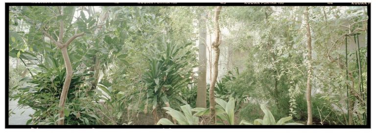 Vincenzo Castella, Orto Botanico, Serra subtropicale del Giardino della Biodiversità, Padova