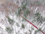 konstantin antipin Un lungo “red carpet” attraversa la foresta russa innevata