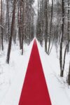konstantin antipin 1 Un lungo “red carpet” attraversa la foresta russa innevata