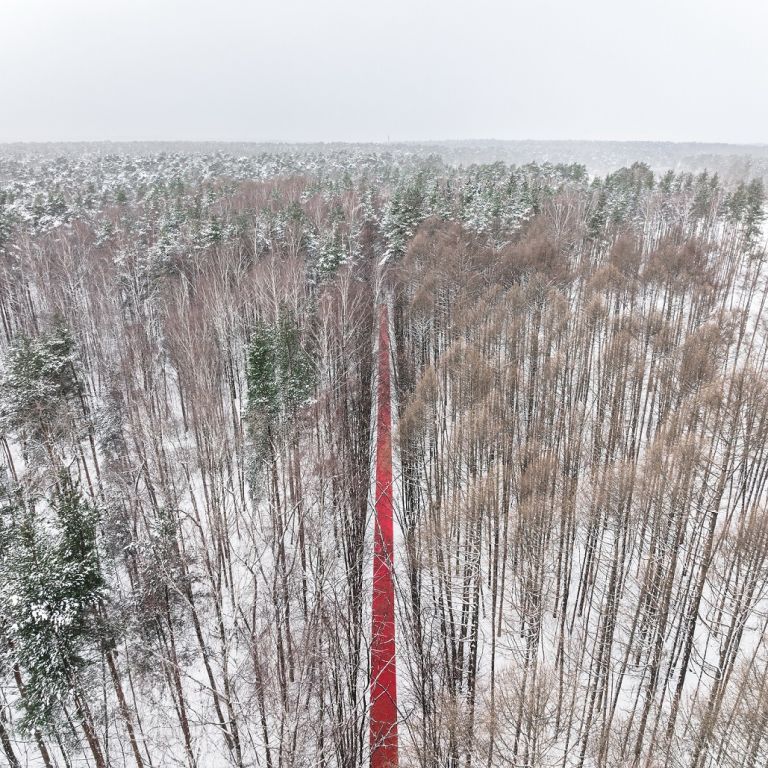 konstantin antipin 3000 Un lungo “red carpet” attraversa la foresta russa innevata