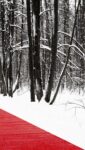 nikita subbotin1 Un lungo “red carpet” attraversa la foresta russa innevata