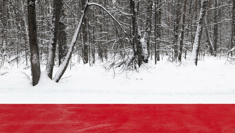 nikita subbotin 3 Un lungo “red carpet” attraversa la foresta russa innevata