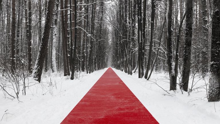 nikita subbotin 5 Un lungo “red carpet” attraversa la foresta russa innevata