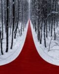 poletaev.photo Un lungo “red carpet” attraversa la foresta russa innevata