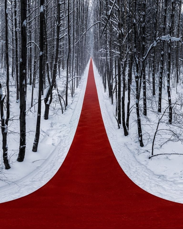 poletaev.photo Un lungo “red carpet” attraversa la foresta russa innevata