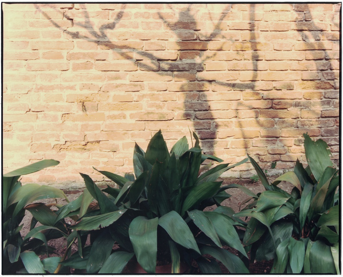 Luigi Ghirri Bologna, Via Fondazza, 1989-90 Estate verso c-print, vintage Photo Luigi Ghirri, Via Fondazza, 1989-90 © Eredi di Luigi Ghirri  Courtesy Mai 36 Galerie, Zurich