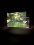 Bill Viola, Icons of Light, Palazzo Bonaparte, Roma