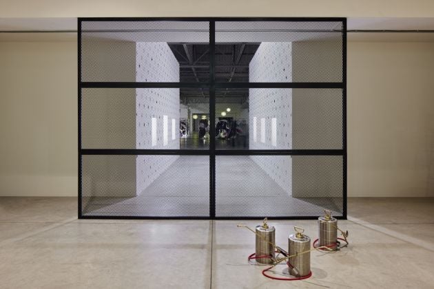 Anicka Yi, Immigrant Caucus, 2017. Installation view at Pirelli HangarBicocca, Milano 2022. Courtesy the artist, Gladstone Gallery, 47 Canal, Pirelli HangarBicocca. Photo Agostino Osio