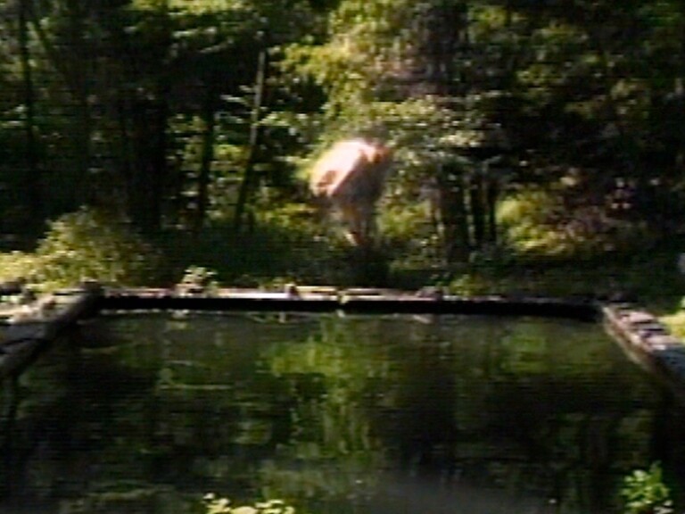 Bill Viola, The Reflecting Pool, 1977–79, videotape, 7'. Performer Bill Viola. Photo Kira Perov © Bill Viola Studio