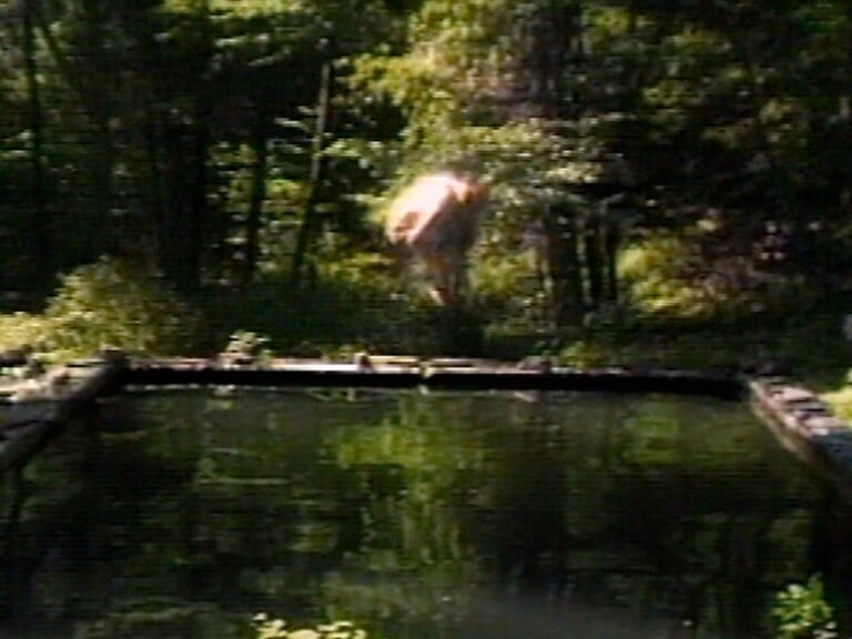 Bill Viola, The Reflecting Pool, 1977–79, videotape, 7'. Performer Bill Viola. Photo Kira Perov © Bill Viola Studio