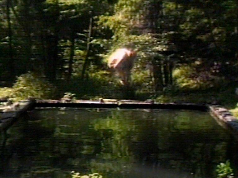 Bill Viola, The Reflecting Pool