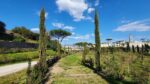 Bosco Piazza Anfiteatro CC Parco Archeologico Pompei