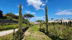Ecco il meraviglioso Vivaio di Pompei: riporterà in auge la Flora Pompeiana