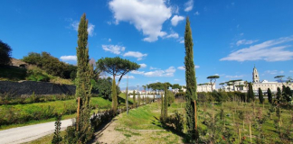 Bosco Piazza Anfiteatro CC Parco Archeologico Pompei