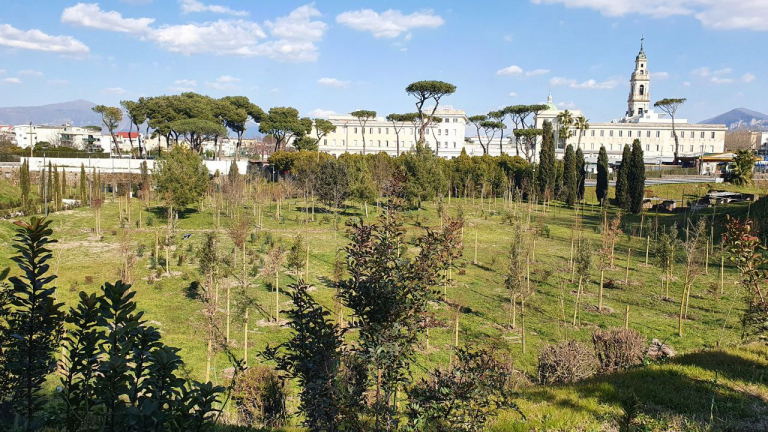 Bosco Piazza Anfiteatro CC Parco Archeologico Pompei