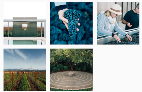 Dal profilo Instagram del vigneto nella Napa Valley, Bella Oaks di Suzanne Deal Booth