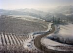 Gabriele Basilico, 2008, Langhe Fenoglio, Courtesy Archivio Basilico, Milano