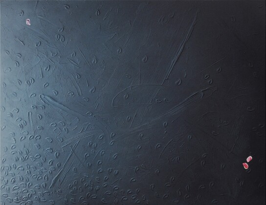 Gianfranco Zappettini, Al fine che traspare 9.8.95, 1995, acrilico e polvere di quarzo su tela, 170x220 cm