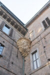 Nest Tadashi Kawamata, Palazzo di Brera_ph. Paolo Riolzi