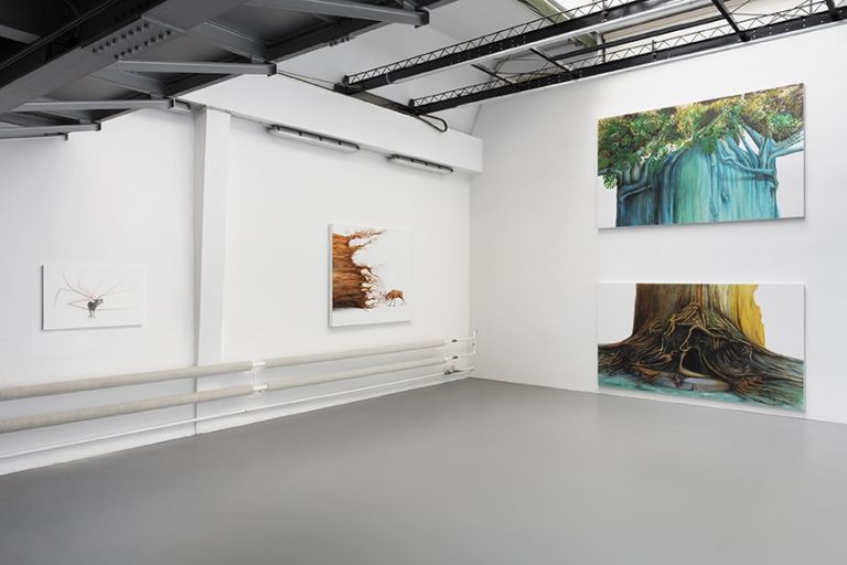 Simone Berti. Soprattutto alberi, installation view at Schiavo Zoppelli Gallery Milano, 2022. Photo Andrea Rossetti