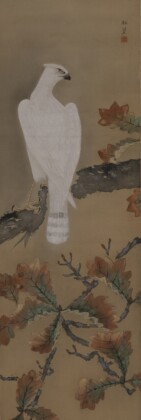 Uemura Shōkō, Un’aquila bianca appollaiata su un ramo di quercia, prima metà del XX sec., dipinto a inchiostro e colori su seta, 105,3 x 34,9 cm