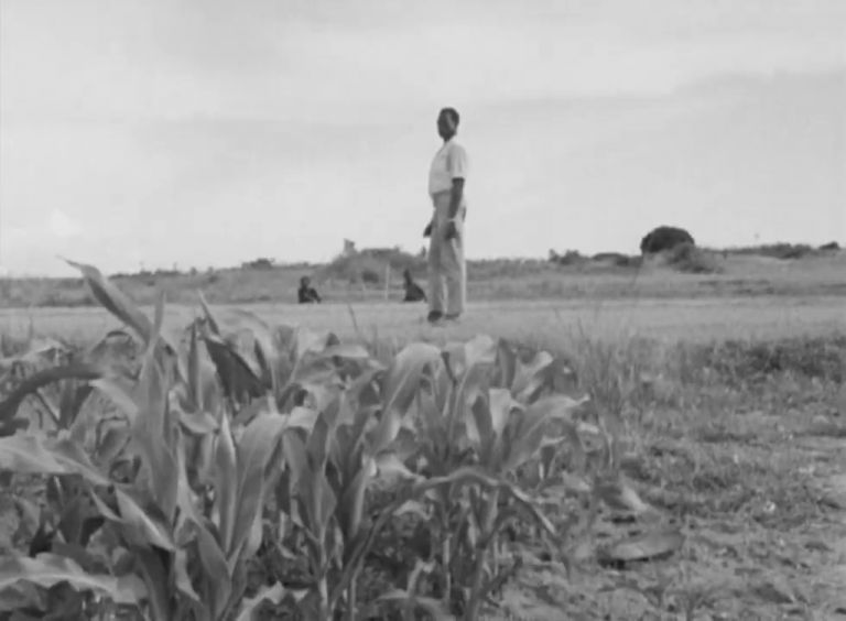 Uno scorcio della campagna nei pressi del Lago Tanganika, in Tanzania. Da “Appunti per un'Orestiade africana” (1970) di Pier Paolo Pasolini