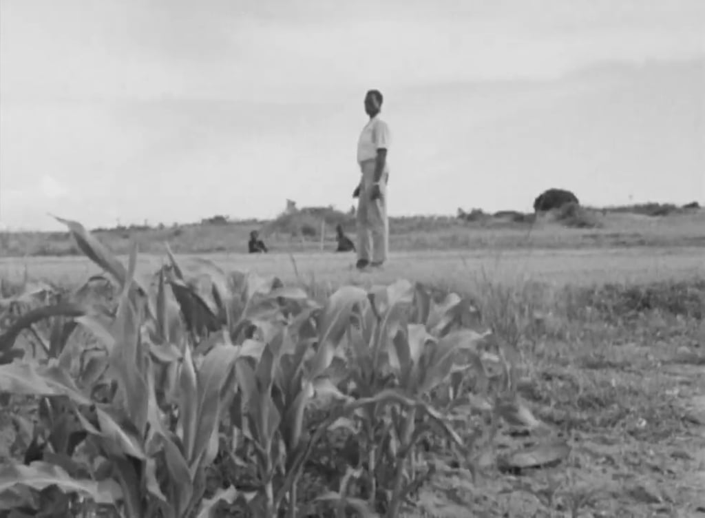 Uno scorcio della campagna nei pressi del Lago Tanganika, in Tanzania. Da “Appunti per un'Orestiade africana” (1970) di Pier Paolo Pasolini