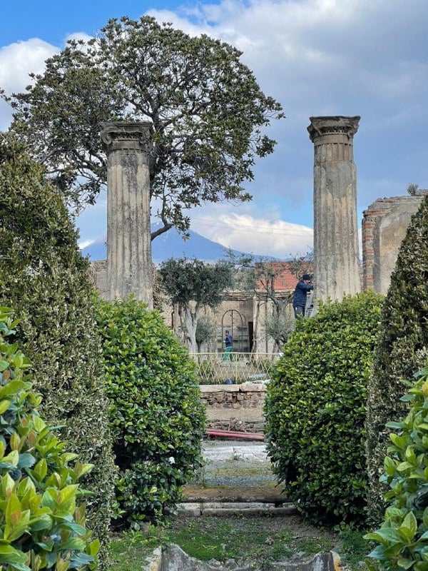 Vivaio CC Parco Archeologico Pompei