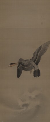 Watanabe Seitei, Un’oca in volo, 1900-09 ca., dipinto a inchiostro e colori su seta, 115,5 x 47,6 cm