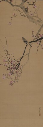 Watanabe Seitei, Usignolo giapponese, su un ramo di pruno rosa fiorito, 1910-19, dipinto a inchiostro e colori su seta, 118,7 x 41,2 cm