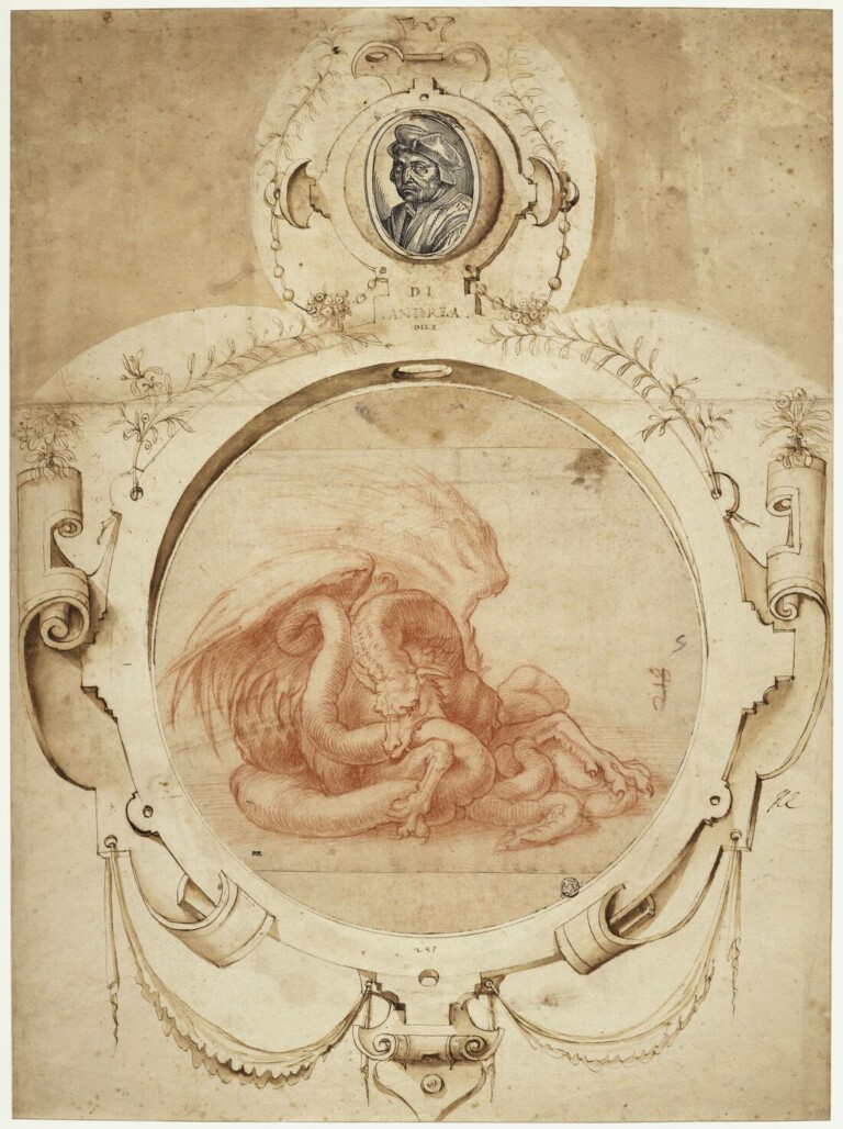 Andrea del Sarto, Dragon dévorant un serpent. En partie haute du montage, Portrait d’Andrea del Sarto © RMN - Grand Palais (Musée du Louvre), Michel Urtado