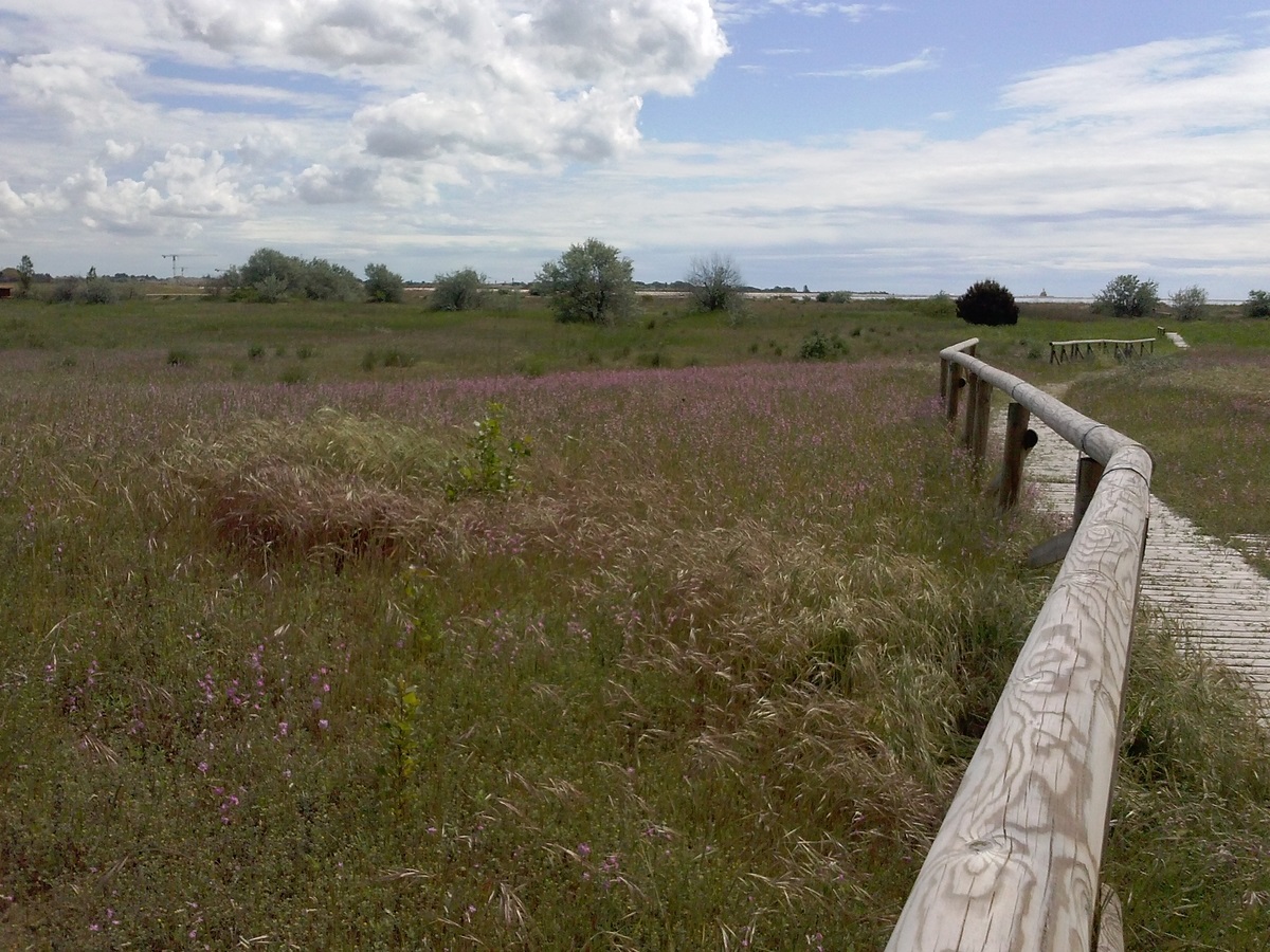 Area naturale di San Nicolò al Lido di Venezia