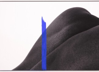 Binta Diaw, Paysage Corporel V, 2020, photo rag ultra smooth su pannello Dbond, 70x105 cm