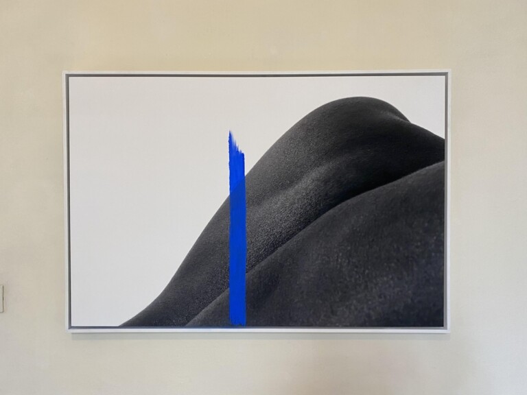 Binta Diaw, Paysage Corporel V, 2021, photo rag ultra smooth su pannello Dbond, 70x105 cm