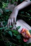 Carla van de Puttelaar, Hortus Nocturnum, archival pigment print montata su dibond, 110x77 cm