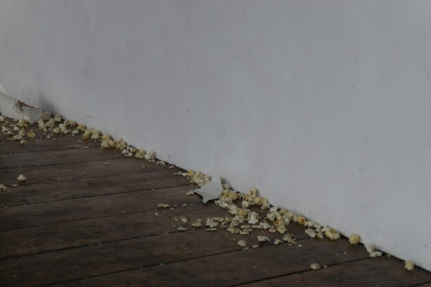 Davide Sgambaro, Too much and not the mood (pop), 2022, dettaglio, installation view 9 French Place, Londra