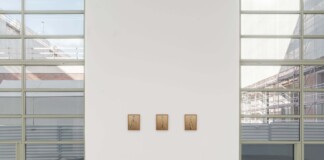Eva Löfdahl, Untitled, 2021, C print, oak frame, 3 parts, 32x25 cm each. Courtesy the artist & VEDA, Firenze