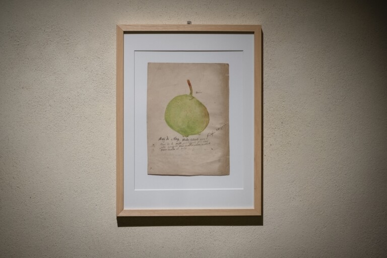 Francesco Garnier Valletti, Modelli e disegni. Museo della Frutta e Accademia di Agricoltura