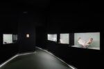 Human Brains. It Begins with an Idea. Exhibition view at Fondazione Prada, Venezia 2022. Photo Marco Cappelletti