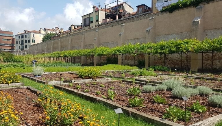 Il Giardino Mistico degli Scalzi a Venezia