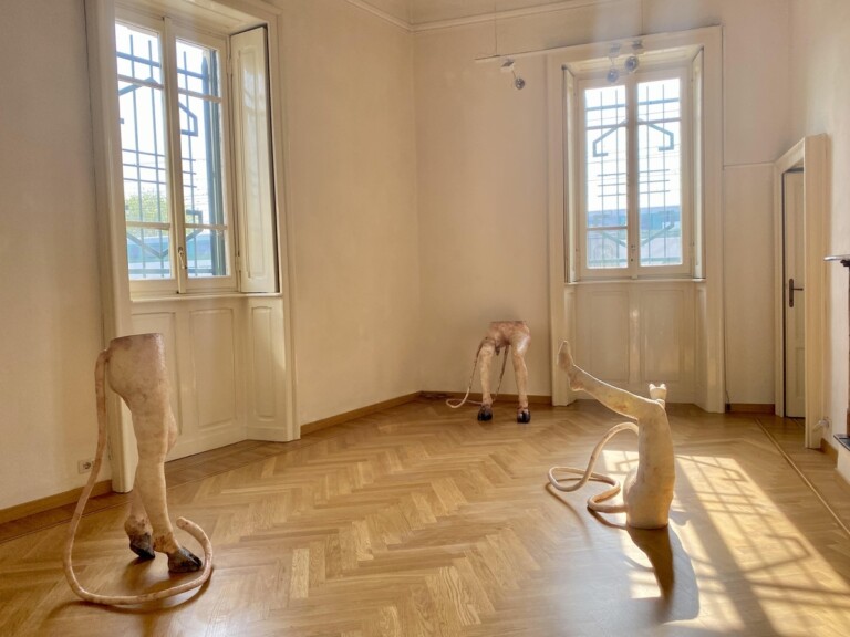 Margaux Bricler, Exhibition view at Casa Testori, Novate Milanese 2022