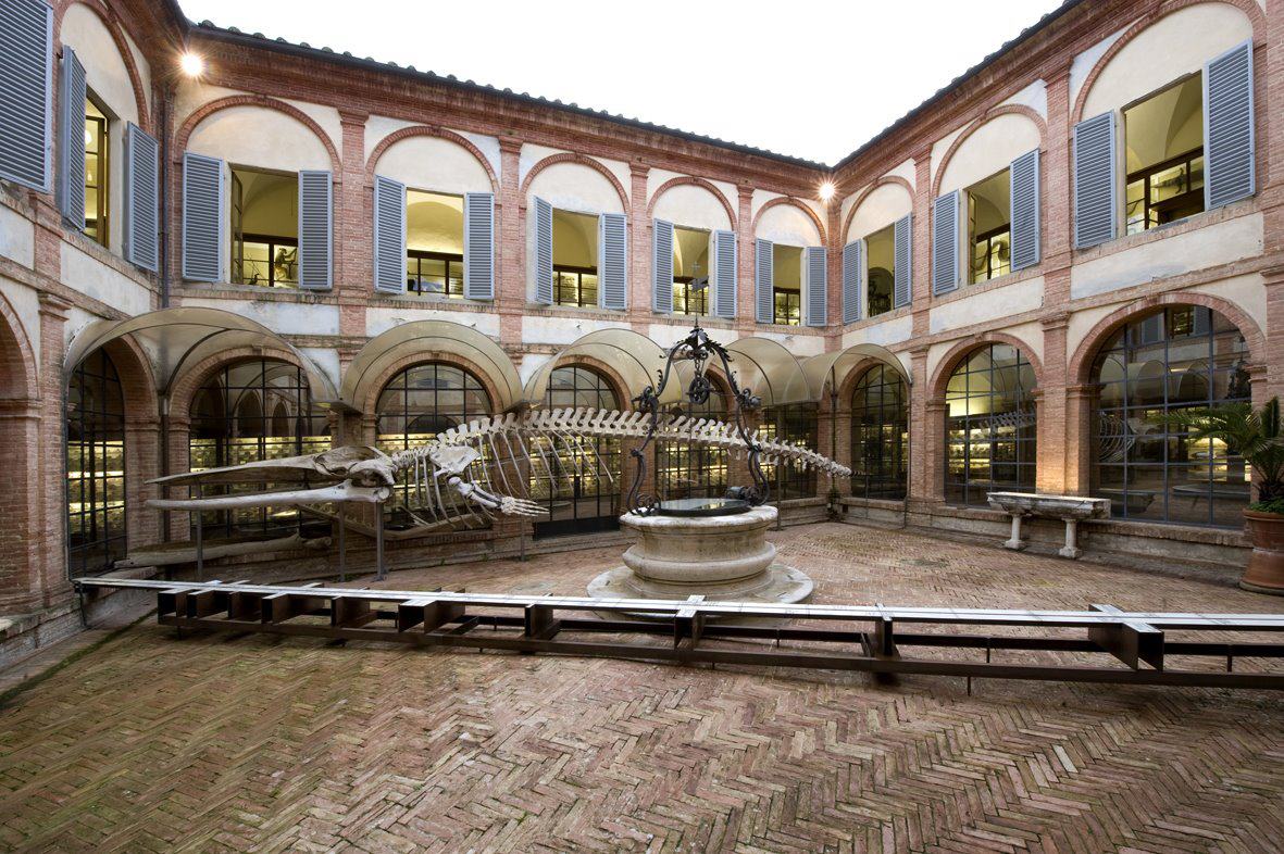 Museo di Storia Naturale Accademia dei Fisiocritici, Siena