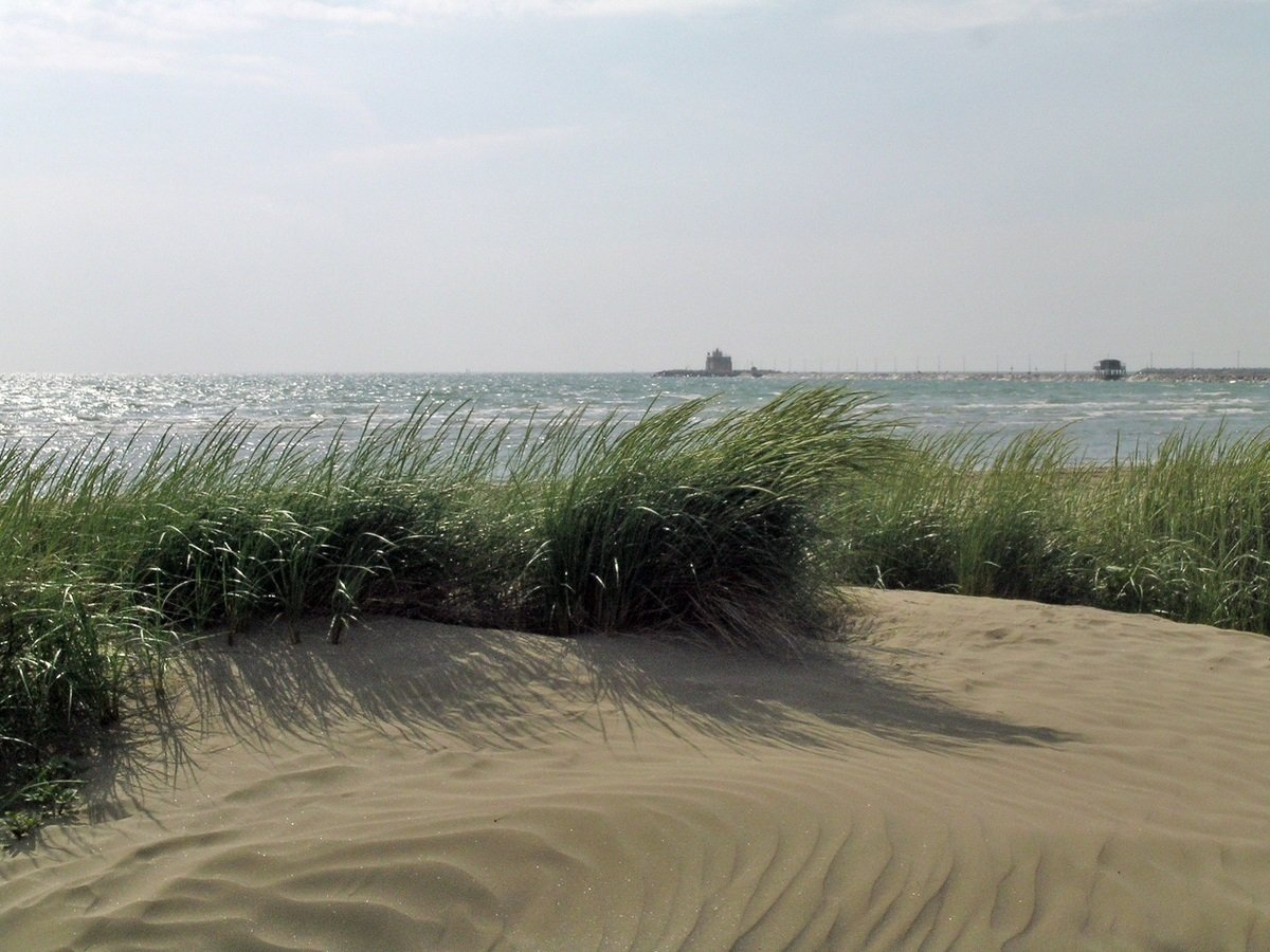 Oasi WWF degli Alberoni al Lido di Venezia